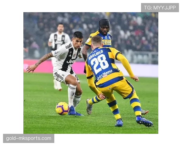 坎塞洛防守争议升级，专家解读其深远影响与后续发展