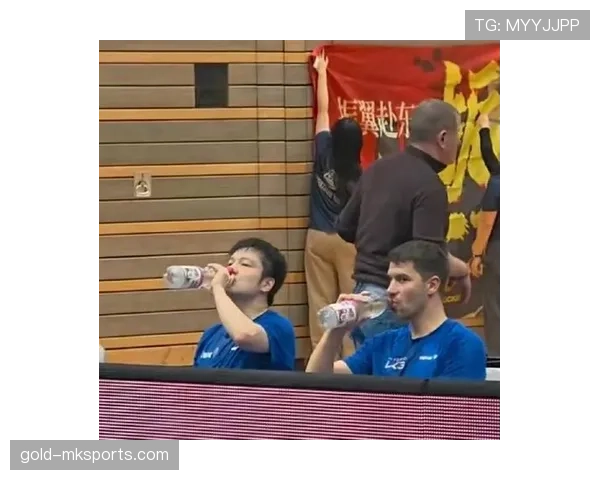 德甲赛场燃爆激情，球迷打造震撼视听盛宴