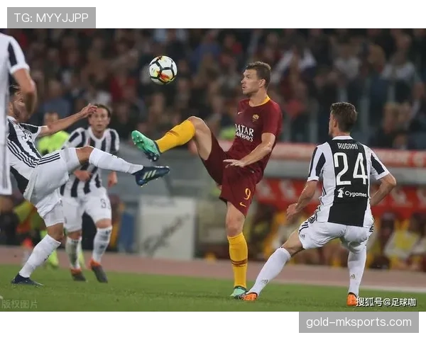 意甲新援表现稳健，多位球员迅速融入球队战术体系