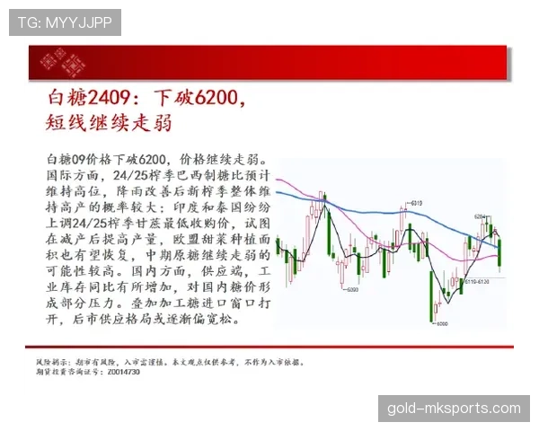 帕尔马比赛节奏近期表现稳健,攻防转换效率持续提升 帕尔马比赛节奏近期表现稳健,攻防转换效率持续提升