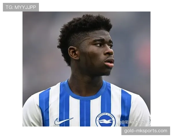 布莱顿转会窗操作稳健，引援聚焦年轻潜力球员