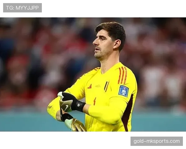 库尔图瓦国家队出场达里程碑，持续提升比利时门将纪录