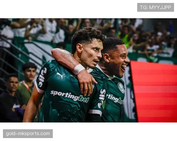 帕尔梅拉斯球队最新阵容变化情况